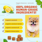 CocoTherapy Organic Maggie's Macaroons | Lemoncello