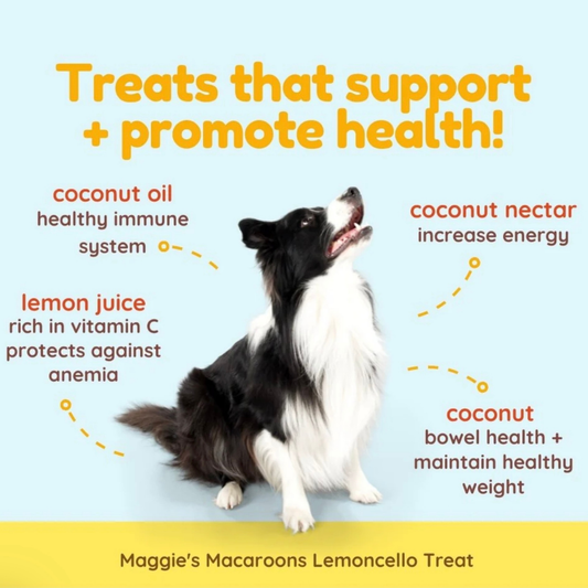 CocoTherapy Organic Maggie's Macaroons | Lemoncello