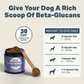 Seven 'Shrooms | Organic Mushroom Blend for Immune Support