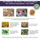 Glacier Peak Inflapotion Powder | Anti-Inflammatory