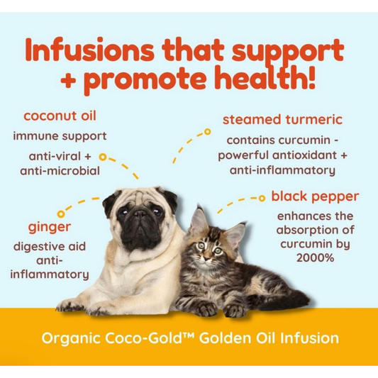Cocotherapy Coco-Gold | Organic Coconut Oil Infused with Turmeric & Ginger