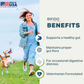 Four Leaf Rover Bifido For Fido | Multi-Strain Probiotic