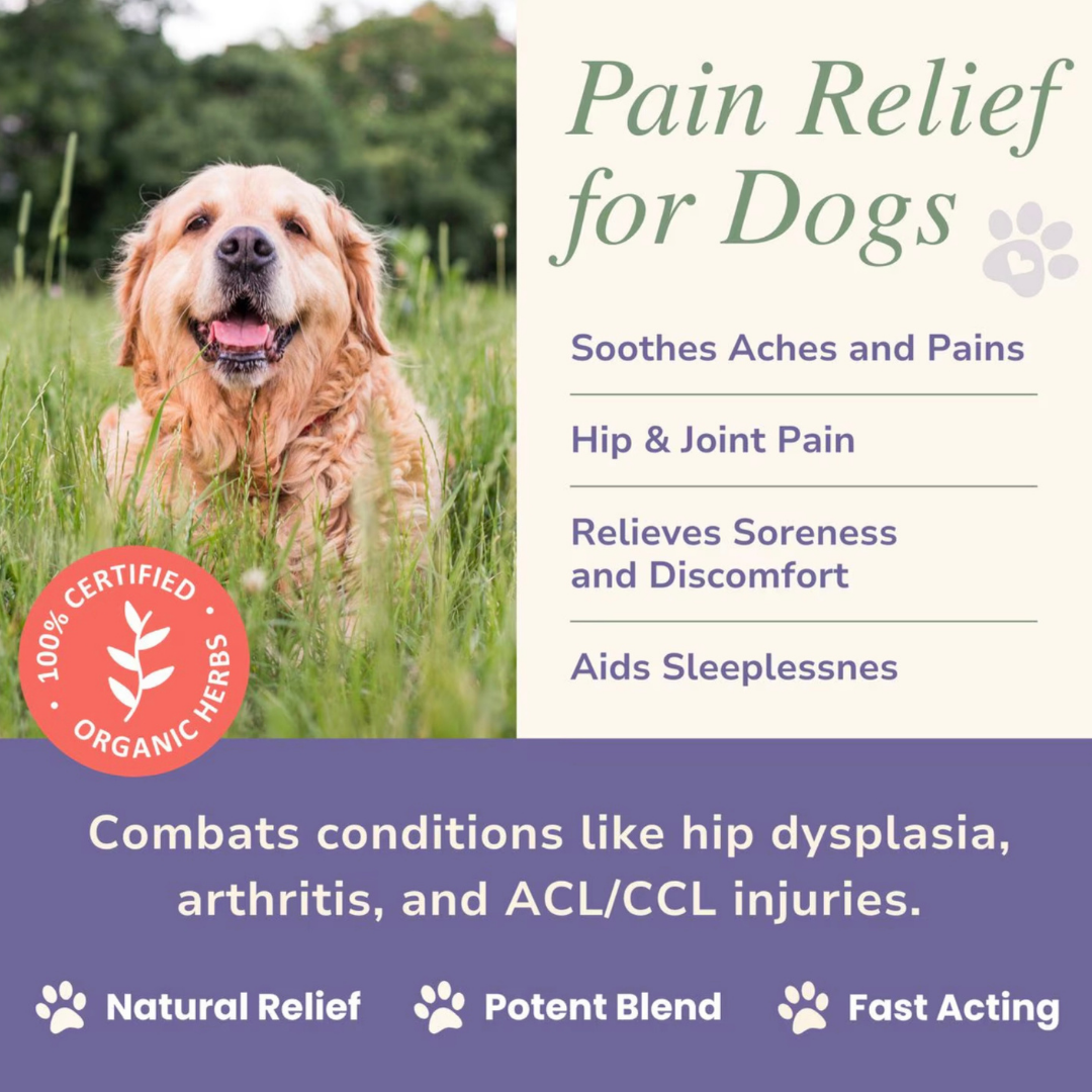 Glacier Peak HerbAprin Tincture | Pain Relief
