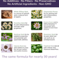 Glacier Peak HerbAprin | Herbal Pain Relief + Sleep Support