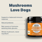 Organic Turkey Tail Mushrooms