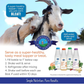 Shepherd Boy Farms Freeze-Dried Raw Goat's Milk | Golden Blend