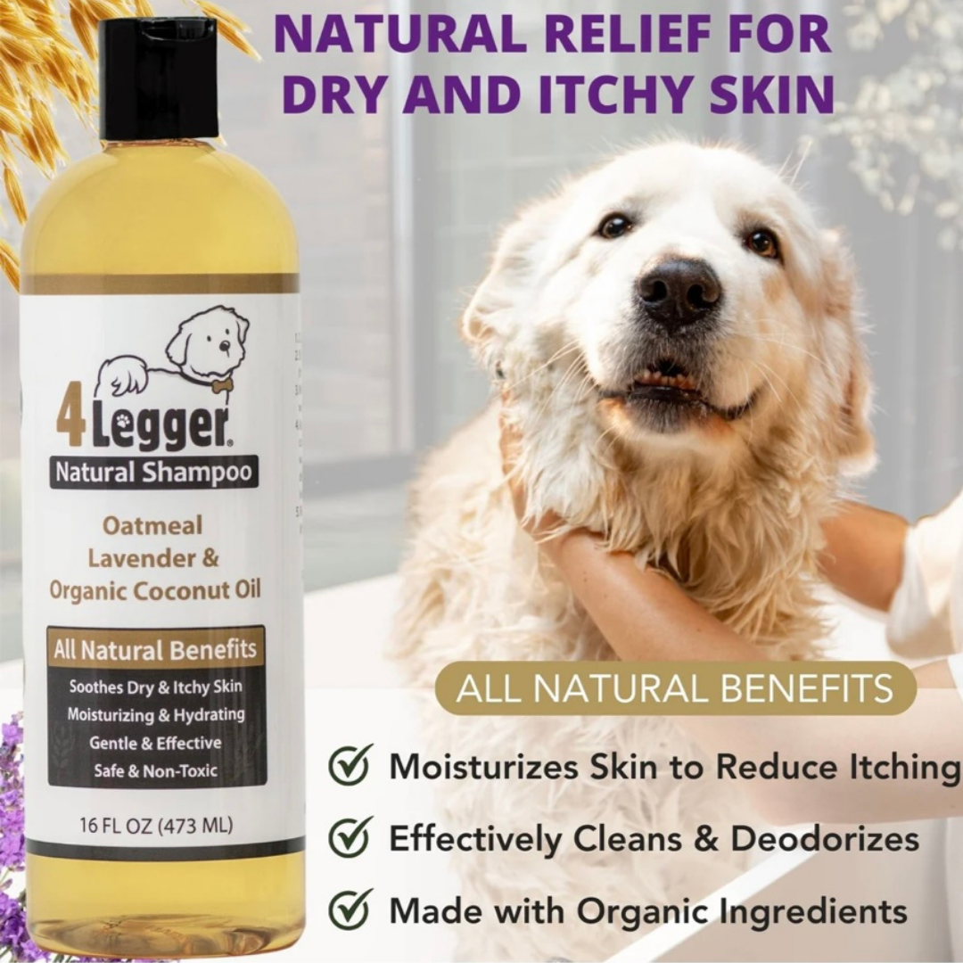 4 Legger Certified Organic Oatmeal Dog Shampoo with Aloe and Lavender