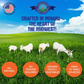 Shepherd Boy Farms Freeze-Dried Raw Goat's Milk | Golden Blend