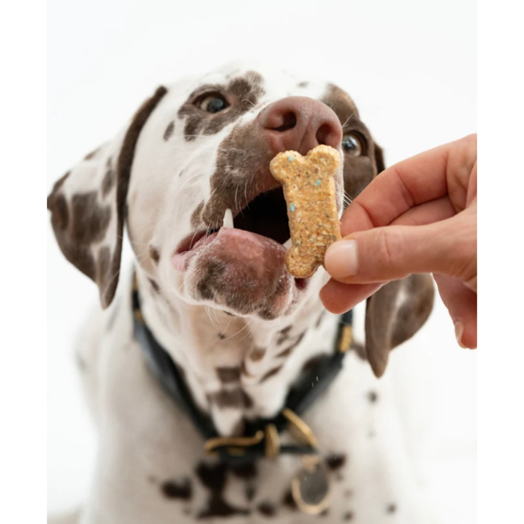 Winnie Lou Celebration Cookie Bones