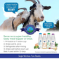 Shepherd Boy Farms Freeze-Dried Raw Goat's Milk | Super Greens Blend