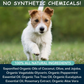 Organic Cooling Shampoo | Natural Yeast + Antifungal Support