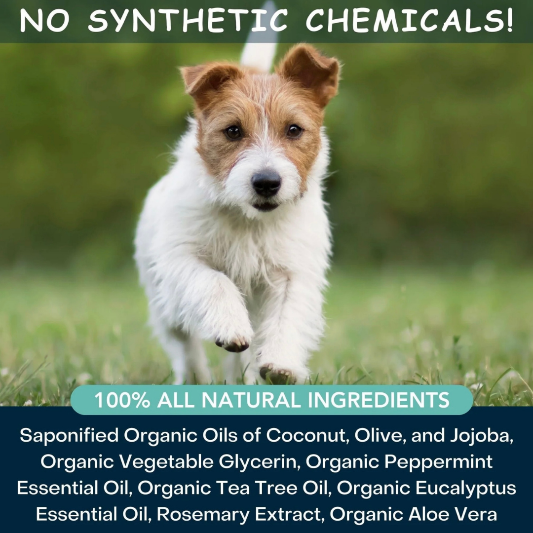 4-Legger Organic Cooling Shampoo | Peppermint + Tea Tree Oil