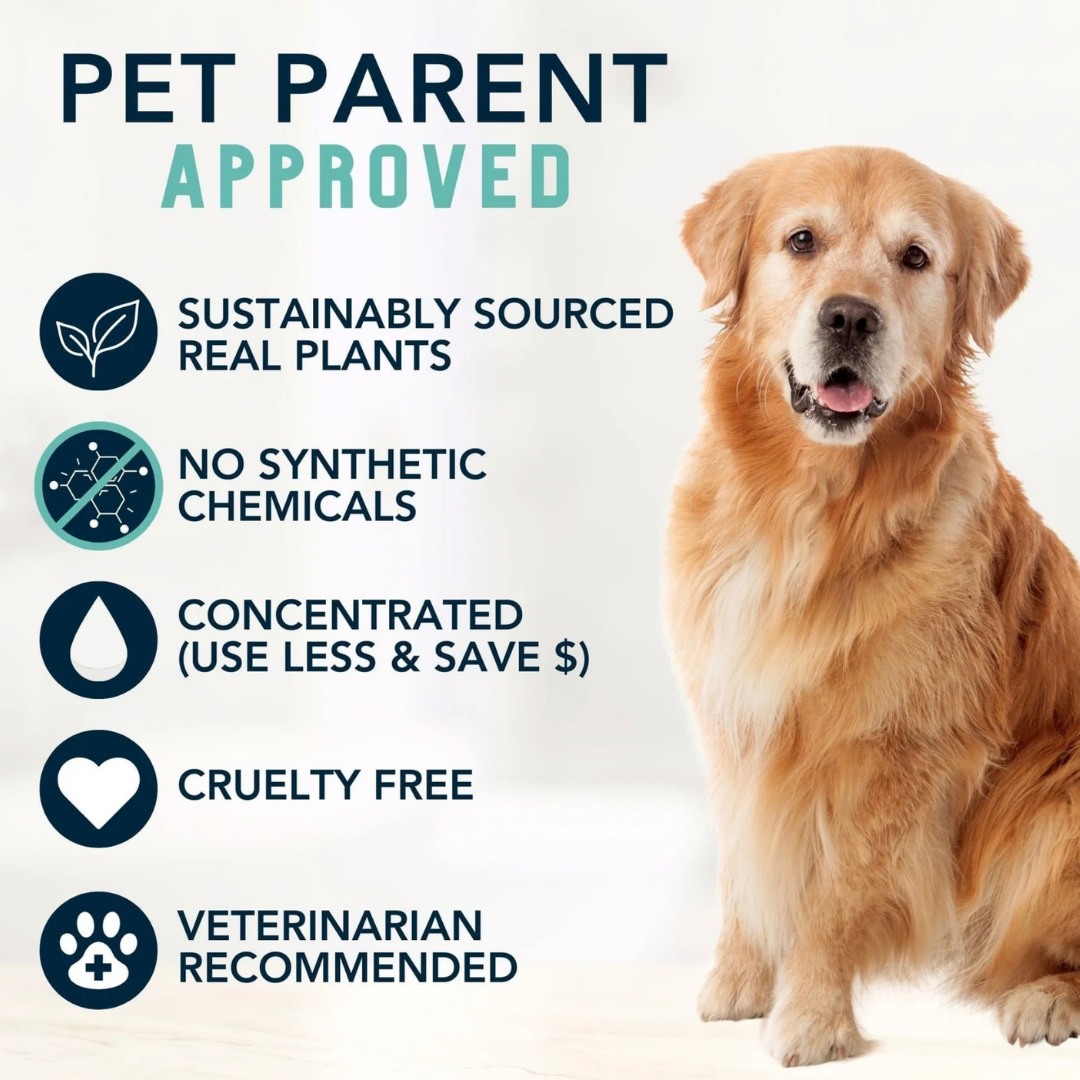 4-Legger Organic Cooling Shampoo | Peppermint + Tea Tree Oil