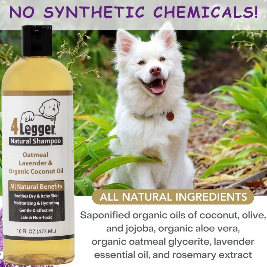 4-Legger Organic Oatmeal Shampoo | Lavender