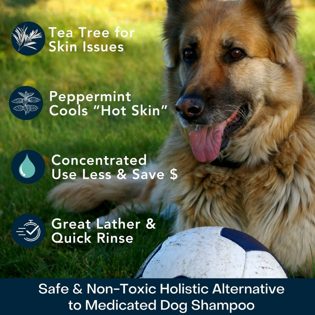 4-Legger Organic Cooling Shampoo | Peppermint + Tea Tree Oil