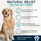 Organic Cooling Shampoo | Natural Yeast + Antifungal Support