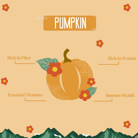 Yak9 Yak Chew | Pumpkin