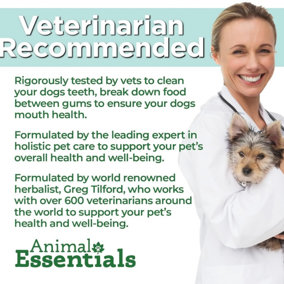 Animal Essentials Daily Digestion