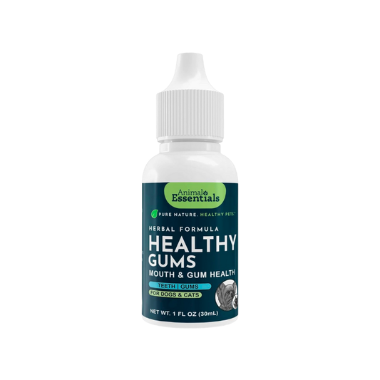 Animal Essentials Healthy Gums | Natural Gum + Dental Support