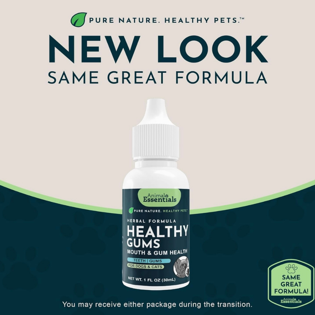 Animal Essentials Healthy Gums | Natural Gum + Dental Support