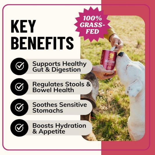 Fido’s Dehydrated Bone Broth Powder | Digestion