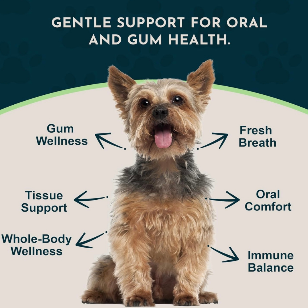 Animal Essentials Healthy Gums | Natural Gum + Dental Support