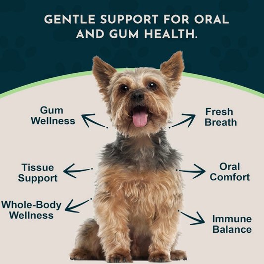Animal Essentials Healthy Gums | Natural Gum + Dental Support
