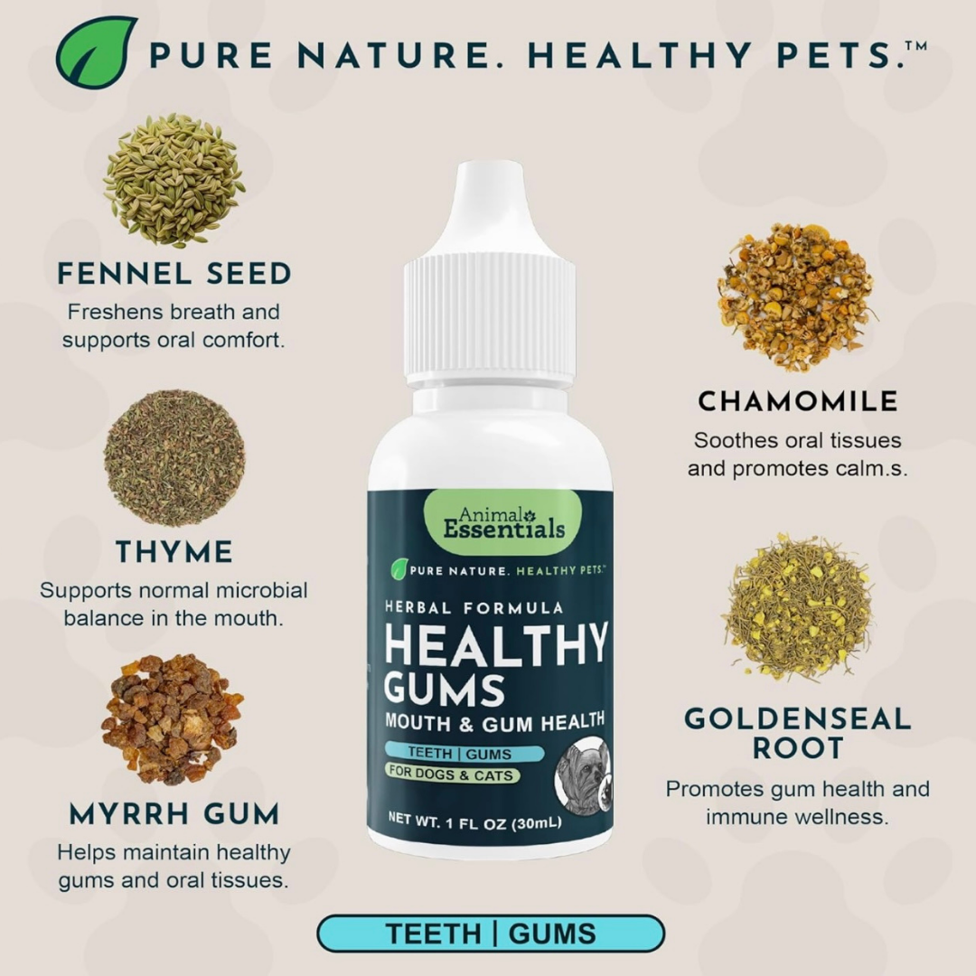 Animal Essentials Healthy Gums | Natural Gum + Dental Support