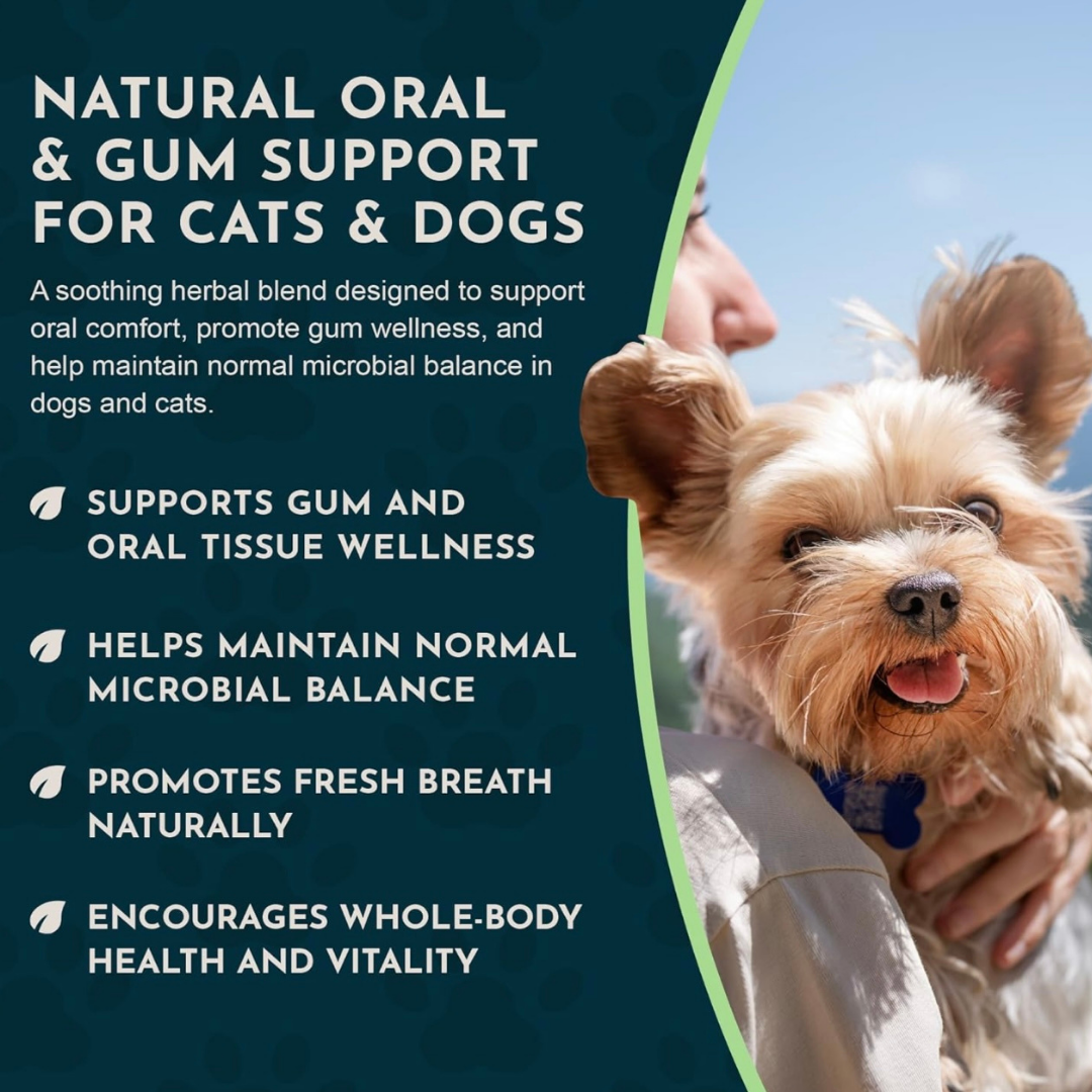 Animal Essentials Healthy Gums | Natural Gum + Dental Support