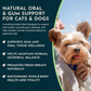 Animal Essentials Healthy Gums | Natural Gum + Dental Support