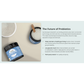 Four Leaf Rover Saccharomyces Boulardii | Digestive + Gut Health Support