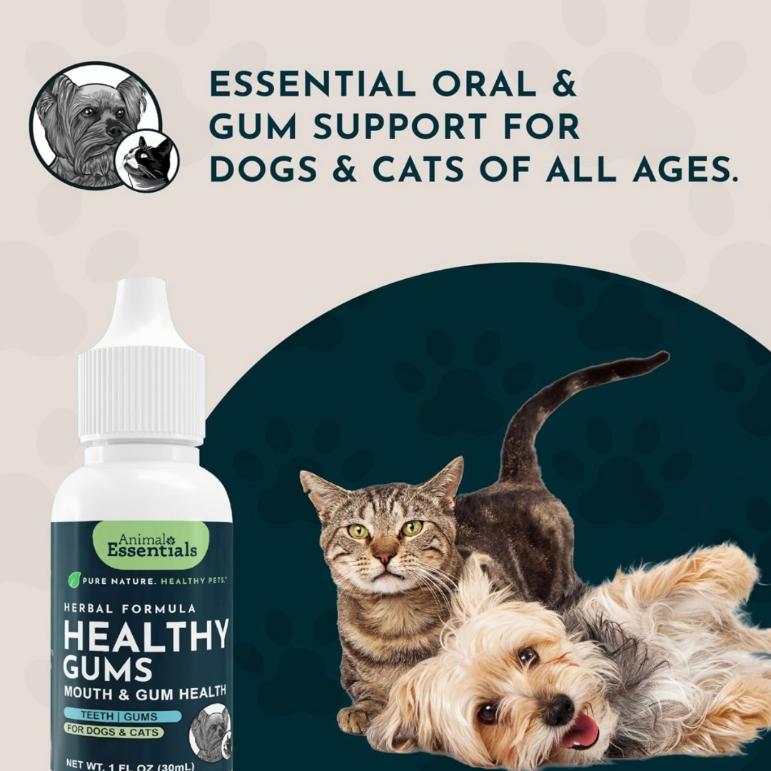 Animal Essentials Healthy Gums | Natural Gum + Dental Support