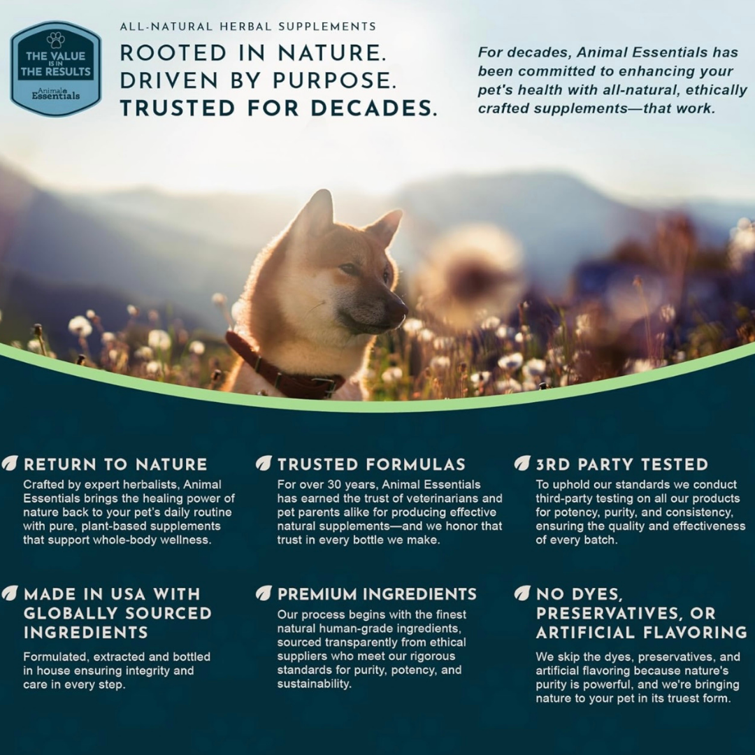 Animal Essentials Healthy Gums | Natural Gum + Dental Support