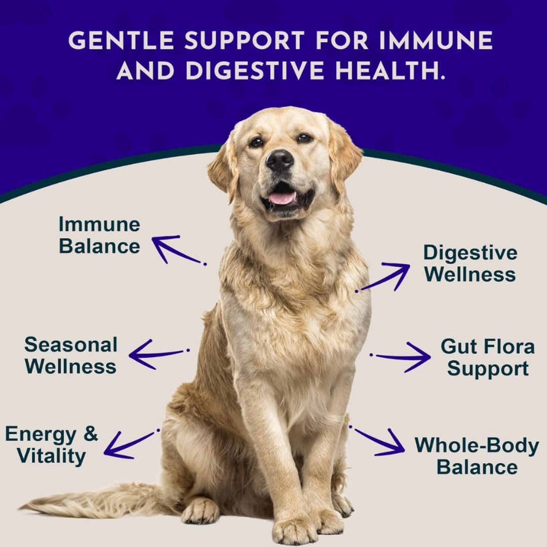 Animal Essentials Immuno-Thrive Powder | Immune System + Longevity Support