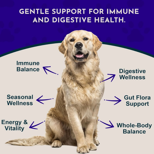Animal Essentials Immuno-Thrive Powder | Immune System + Longevity Support