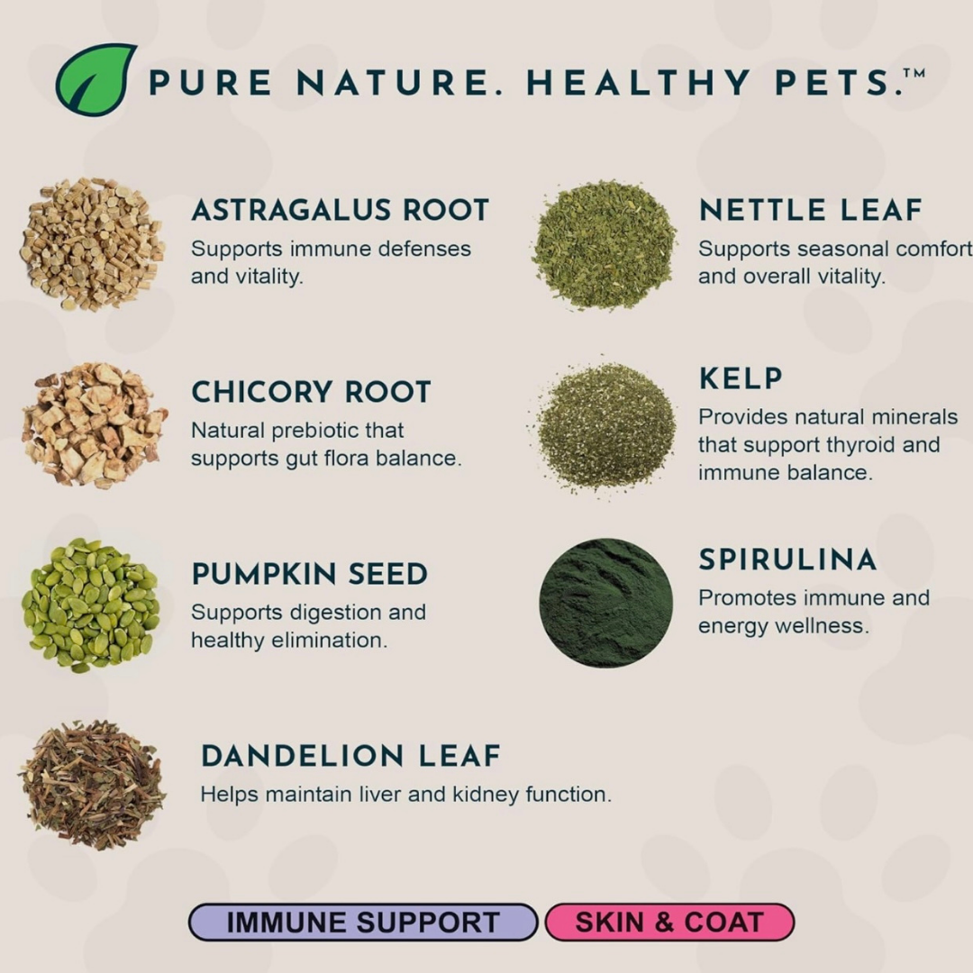 Animal Essentials Immuno-Thrive Powder | Immune System + Longevity Support