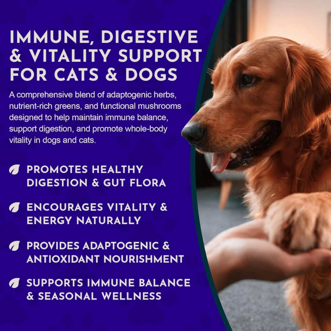 Animal Essentials Immuno-Thrive Powder | Immune System + Longevity Support
