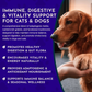 Animal Essentials Immuno-Thrive Powder | Immune System + Longevity Support