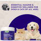 Animal Essentials Immuno-Thrive Powder | Immune System + Longevity Support