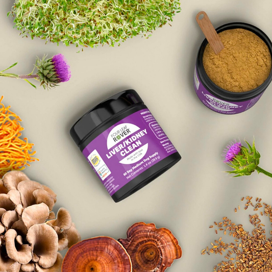 Four Leaf Rover Liver/Kidney Clean | Natural Detox Support
