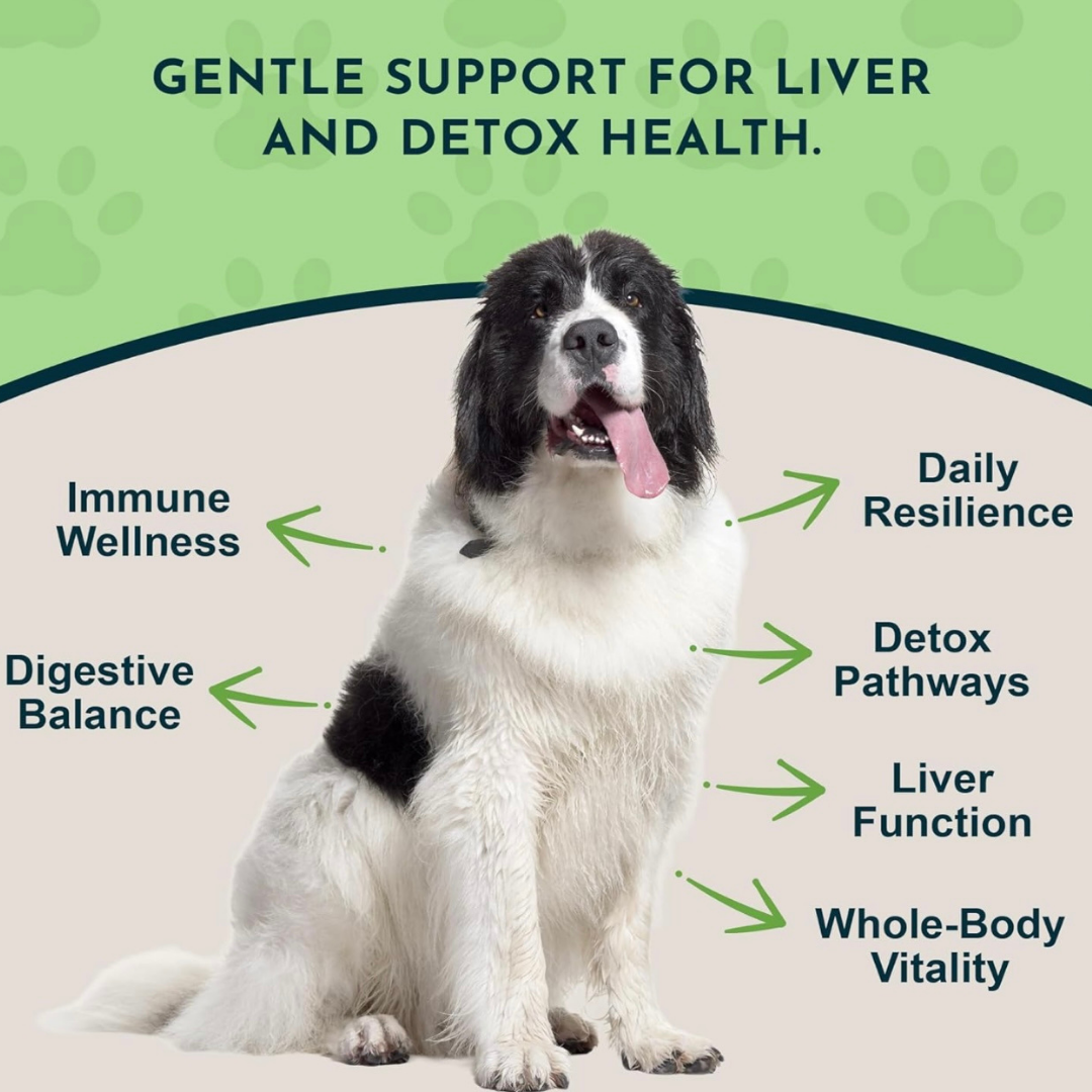 Animal Essentials Milk Thistle | Natural Liver Detox