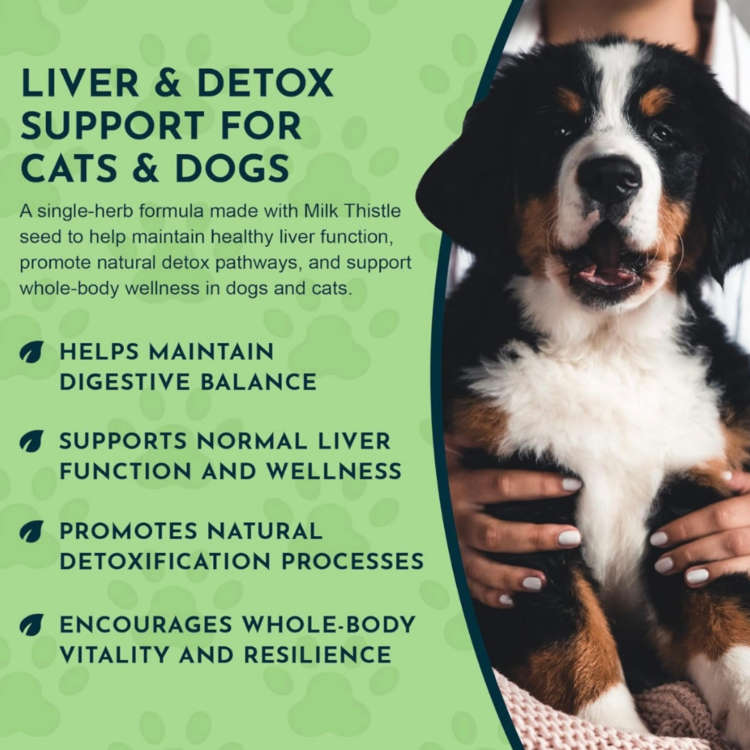 Animal Essentials Milk Thistle | Natural Liver Detox