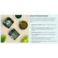 Four Leaf Rover Green Rover | Organic Greens for Detox + Immune Support
