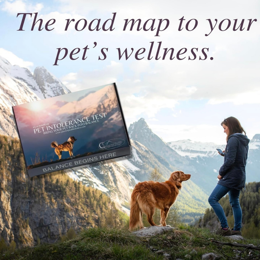Glacier Peak Intolerance Test | Holistic Sensitivity Assessment