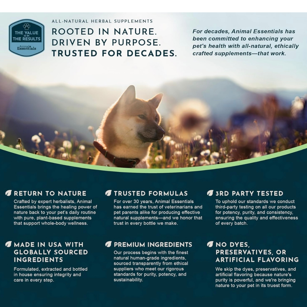 Animal Essentials Milk Thistle | Natural Liver Detox