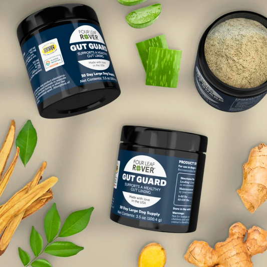 Four Leaf Rover Gut Guard | Natural Support for Irritated + Leaky Gut