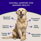 Animal Essentials Mushroom Defense | Natural Immune Support
