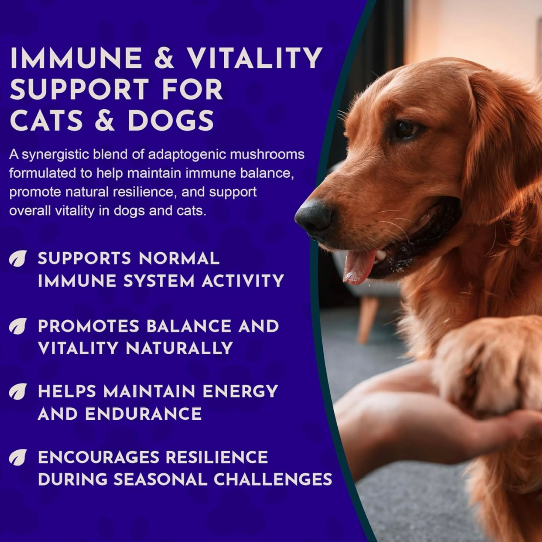 Animal Essentials Mushroom Defense | Natural Immune Support