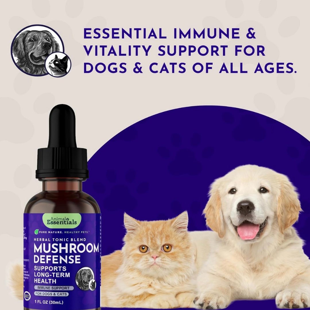 Animal Essentials Mushroom Defense | Natural Immune Support