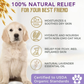Organic Oatmeal Dog Shampoo with Aloe + Lavender